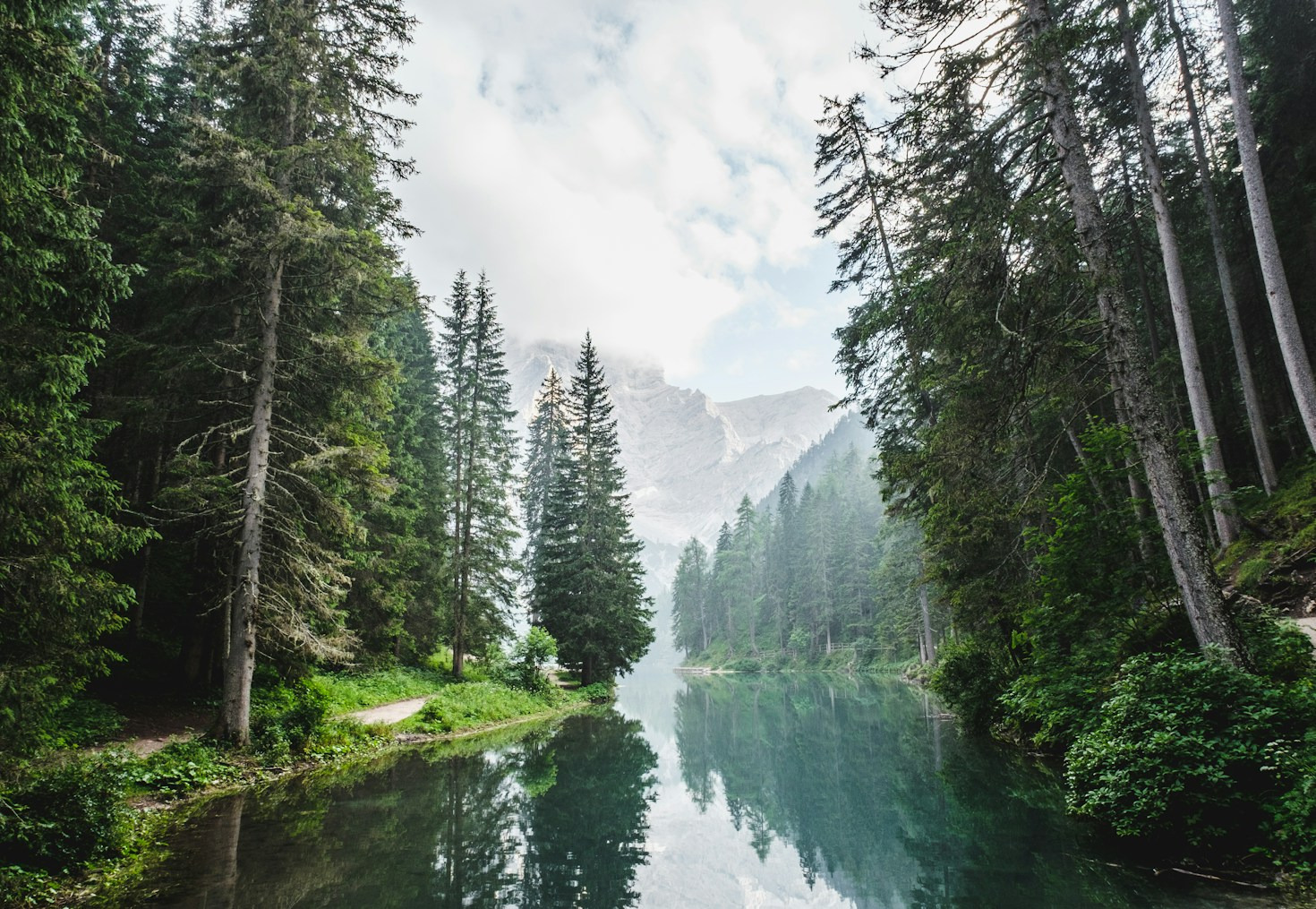 Personal Journey: Finding Calm in the Forest